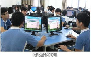 电子商务学有研究专业吗