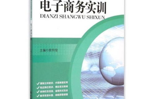 电子商务专业实训计划书