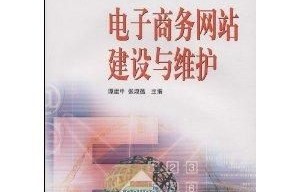 中职电子商务专业计划书