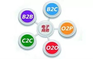 电子商务专业一年制