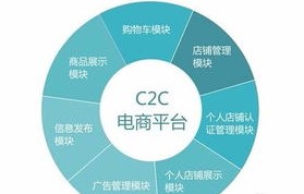 电子商务专业有几种类型