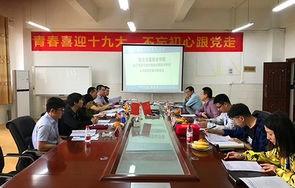 金山区专业电子商务方案