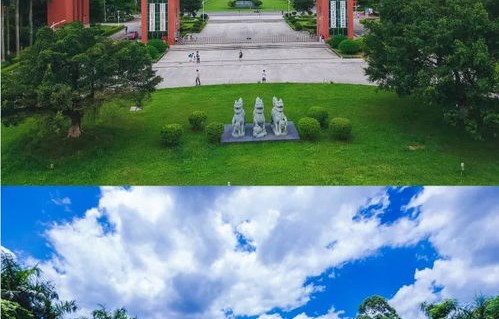 华商学院电子商务专业