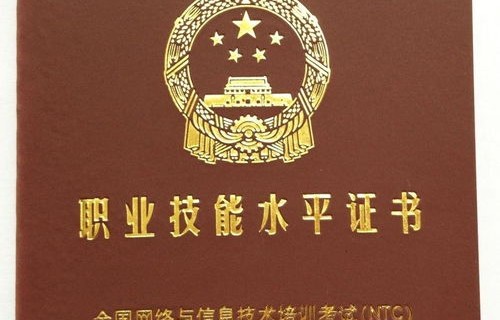 电子商务专业的学位证