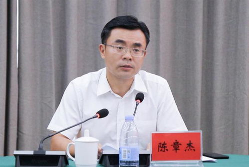 正厅级干部李成武主动投案的背后