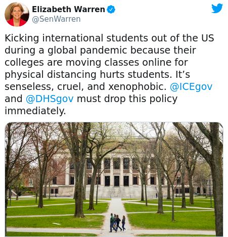没了国际学生的哈佛大学，未来之路在何方？