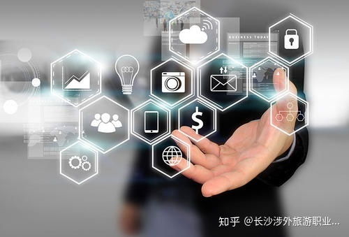 电子商务主要有哪些专业