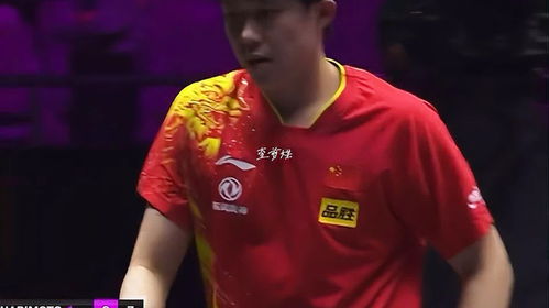 王楚钦4-0横扫张本智和，勇夺冠军